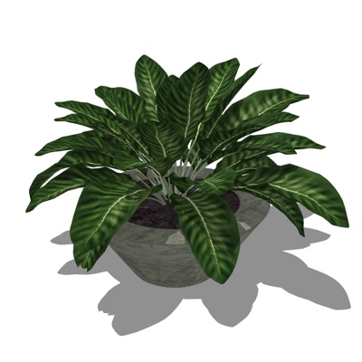 现代绿植盆栽免费su模型(1)