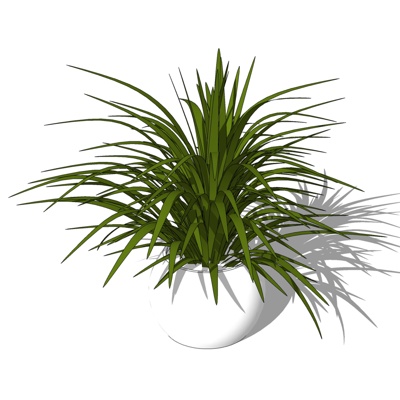 现代绿植盆栽免费su模型(1)
