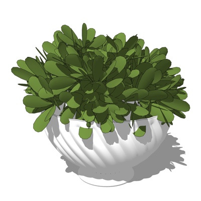 现代绿植盆栽免费su模型(1)