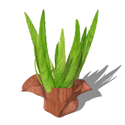 现代绿植盆栽免费su模型(1)