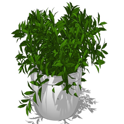 现代绿植盆栽免费su模型(1)