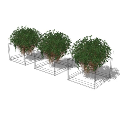 现代绿植盆栽免费su模型(1)