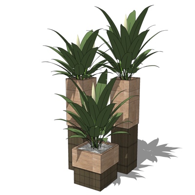 现代绿植盆栽免费su模型(1)