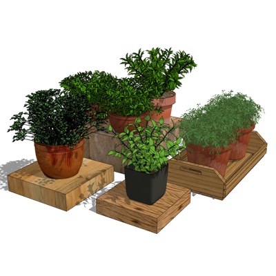 现代绿植盆栽免费su模型(1)
