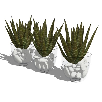 现代绿植盆栽免费su模型(1)