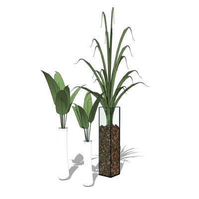 现代绿植盆栽免费su模型(1)