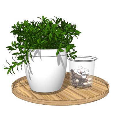 现代绿植盆栽免费su模型(1)