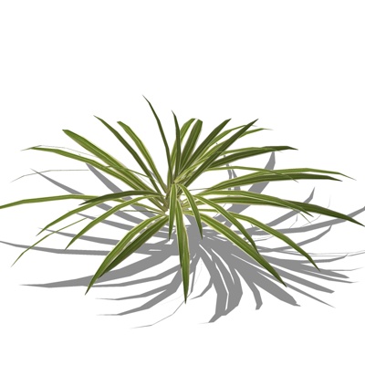 现代绿植盆栽免费su模型(1)