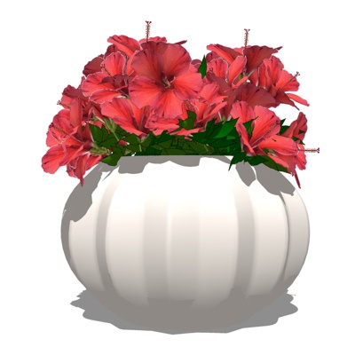现代花卉盆栽免费su模型(1)