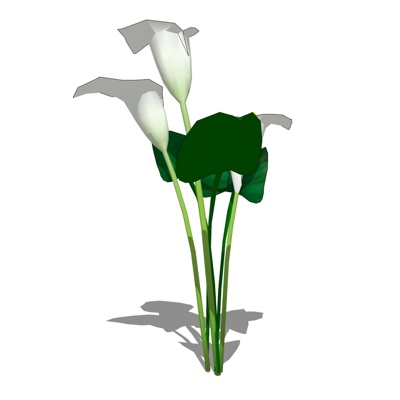 现代花卉盆栽免费su模型(1)