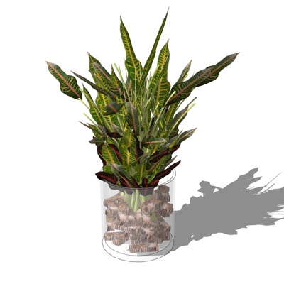 现代花卉盆栽免费su模型(1)