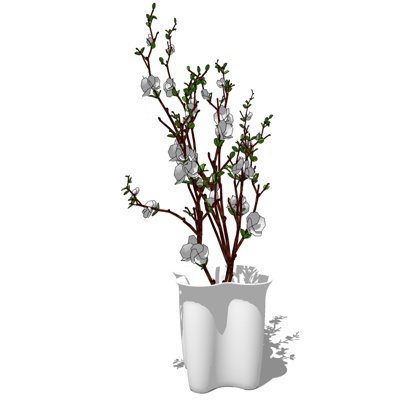 现代花卉盆栽免费su模型(1)