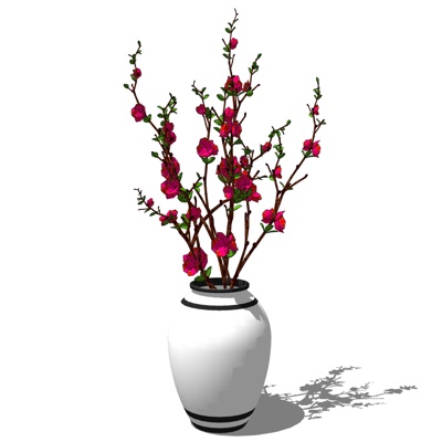 现代花卉盆栽免费su模型(1)