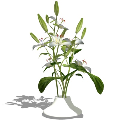 现代花卉盆栽免费su模型(1)