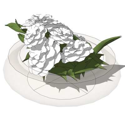 现代花卉盆栽免费su模型(1)