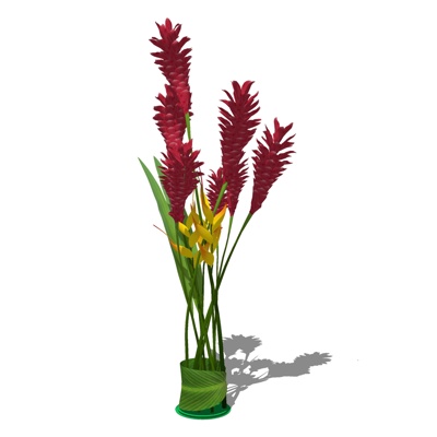 现代花卉盆栽免费su模型(1)