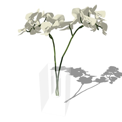 现代花卉盆栽免费su模型(1)