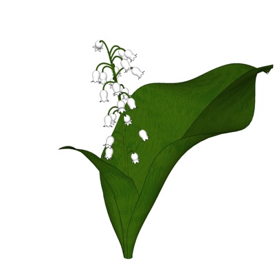 现代花草植物免费su模型(1)