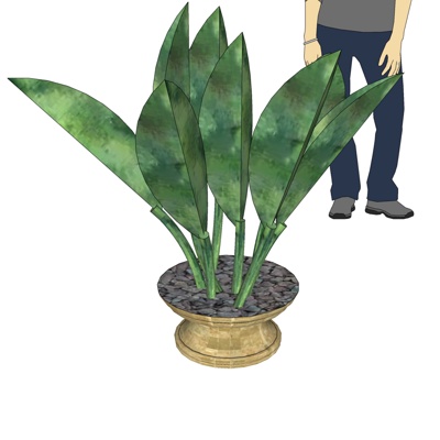 现代虎尾兰免费su模型(1)