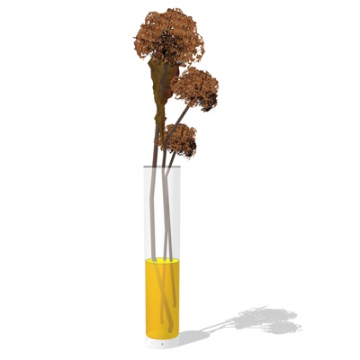 现代菊花免费su模型(1)