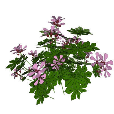 现代花草植物免费su模型(1)