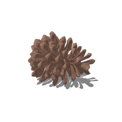 现代松果植物免费su模型(1)