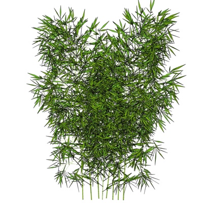 现代竹子植物免费su模型(1)