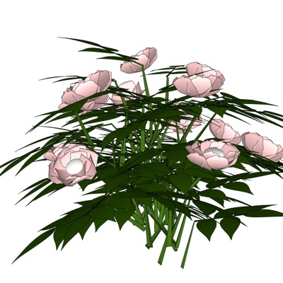 现代番红花免费su模型(1)