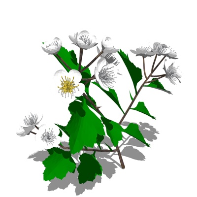 现代梨花免费su模型(1)