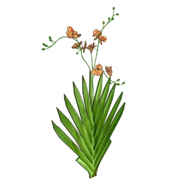 现代蝴蝶花免费su模型(1)
