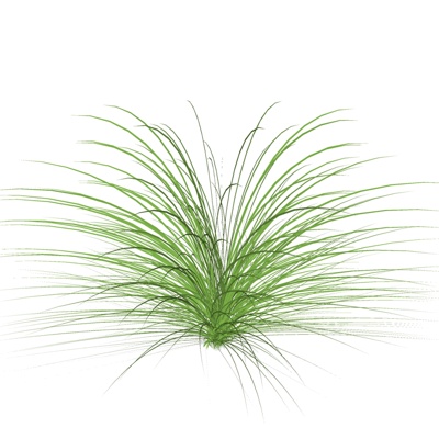 现代花草植物免费su模型(1)