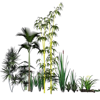 现代花草植物组合免费su模型(1)