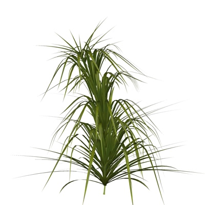 现代花草植物免费su模型(1)