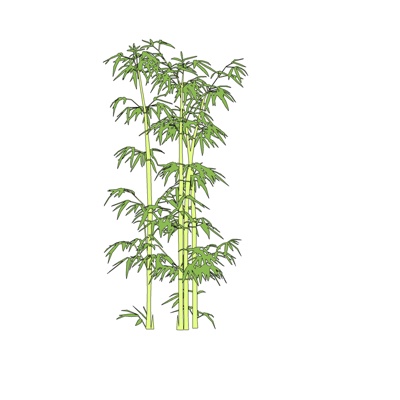 现代竹子植物免费su模型(1)