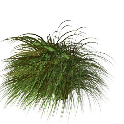 现代花草植物免费su模型(1)