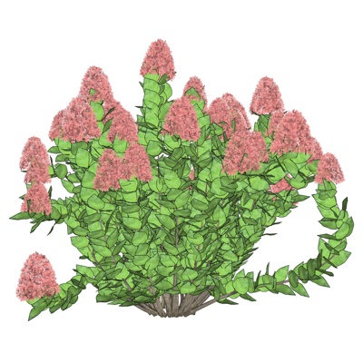 现代绣花球免费su模型(1)