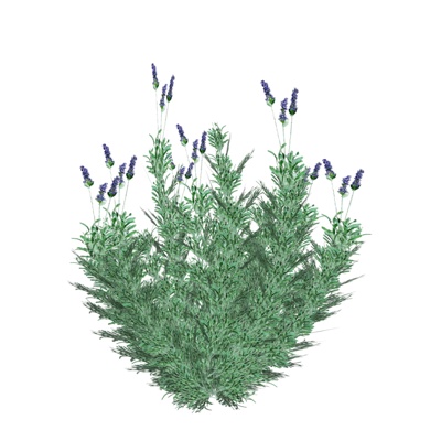 现代薰衣草免费su模型(1)