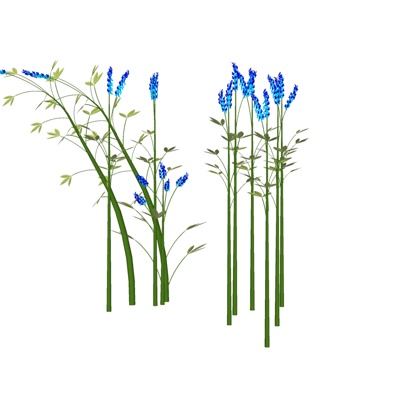 现代花草植物免费su模型(1)