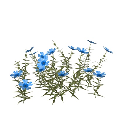 现代翠雀花免费su模型(1)