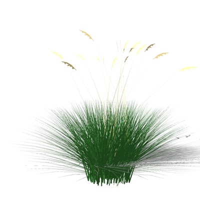 现代花草植物免费su模型(1)