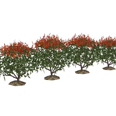 现代花树组合免费su模型(1)