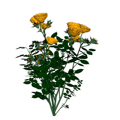 现代玫瑰花免费su模型(1)