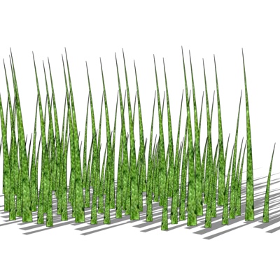 现代灌草丛免费su模型(1)
