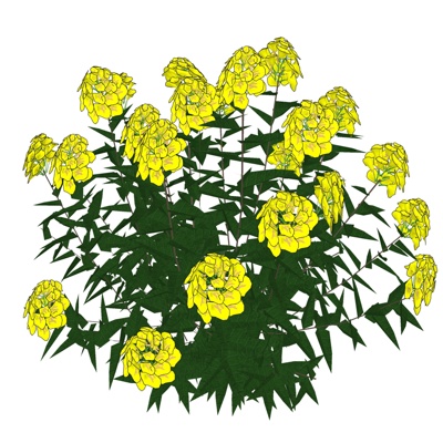 现代小黄花免费su模型(1)