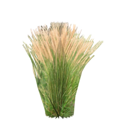 现代花草植物免费su模型(1)