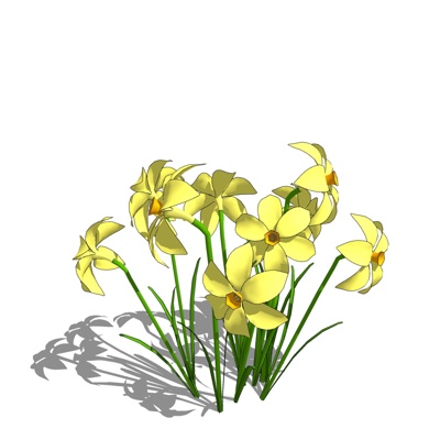 现代水仙花免费su模型(1)