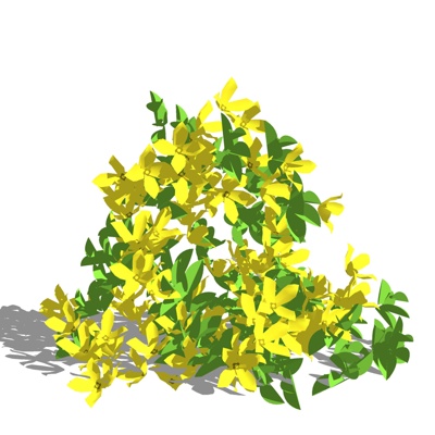 现代连翘花免费su模型(1)