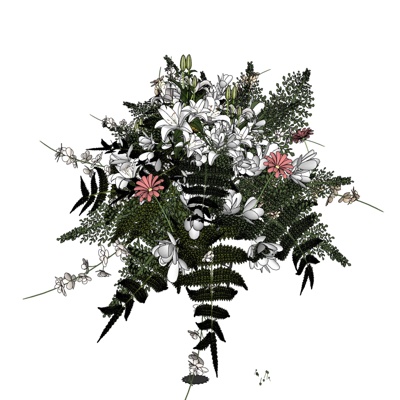 现代花草植物免费su模型(1)