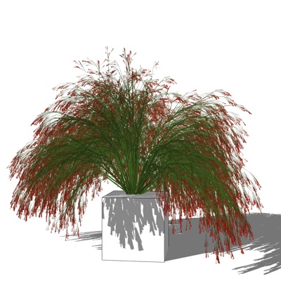现代花草植物免费su模型(1)