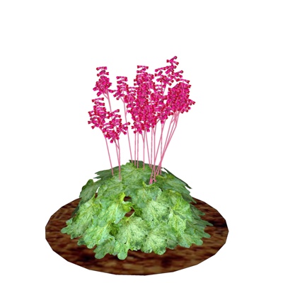 现代花草植物免费su模型(1)